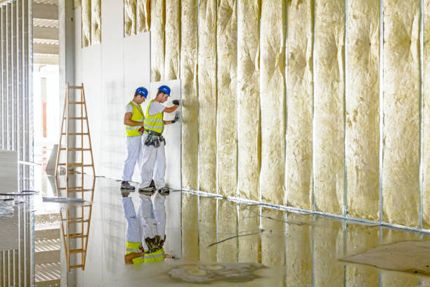 Best Commercial Insulation in Olive Hill, KY